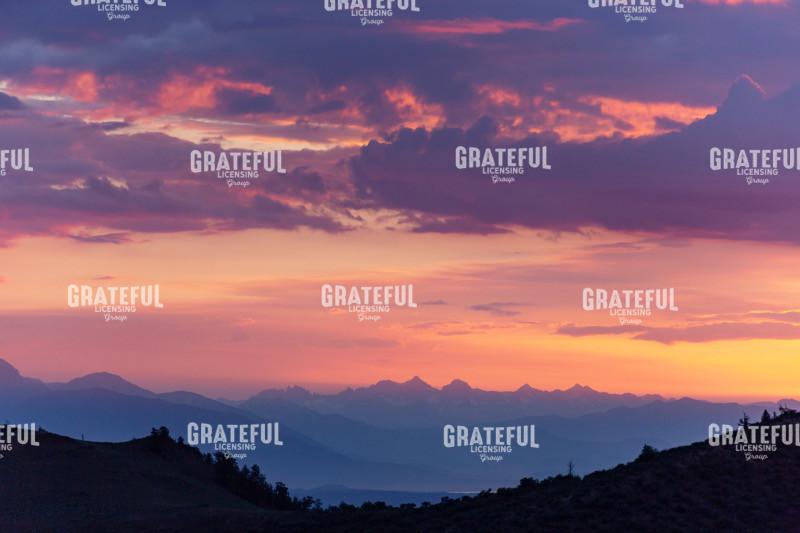 mammoth and ancient bristlecone-9187.jpg