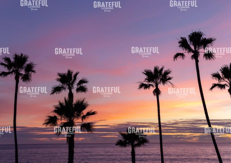 sunsets 2018-3348.jpg