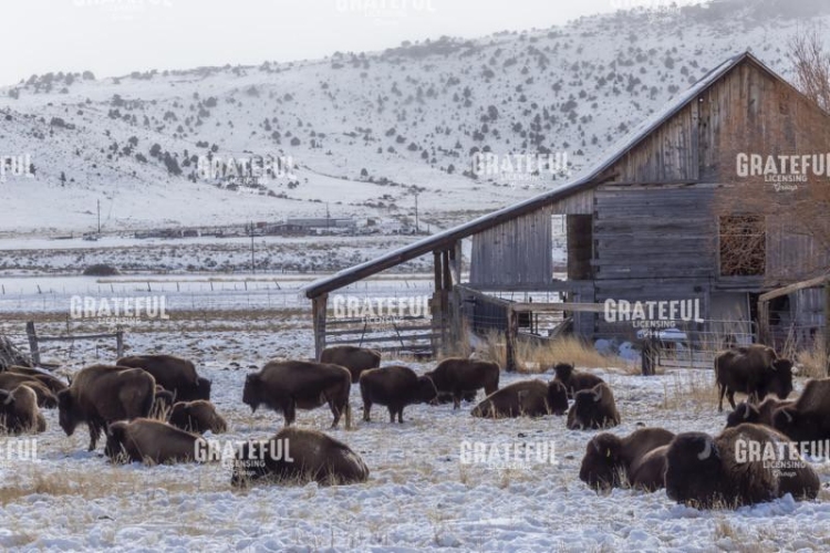 Colorado-64.jpg