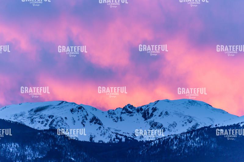 denver website-6719.jpg