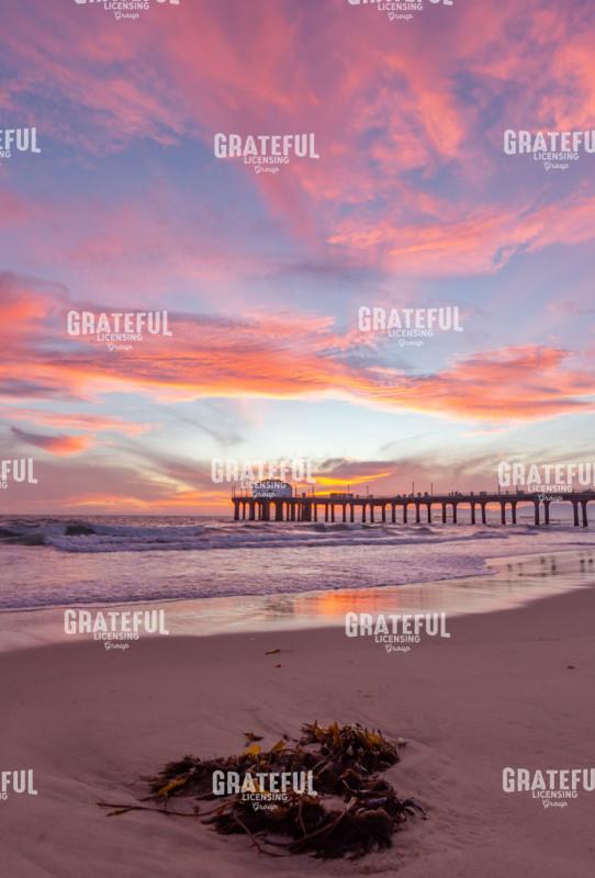 sunsets 2018-3125.jpg