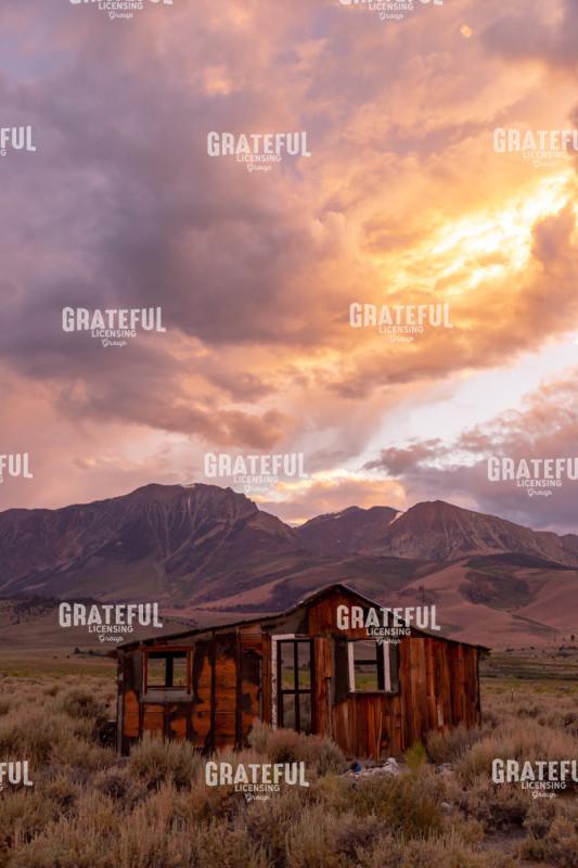 mammoth and ancient bristlecone-2797.jpg