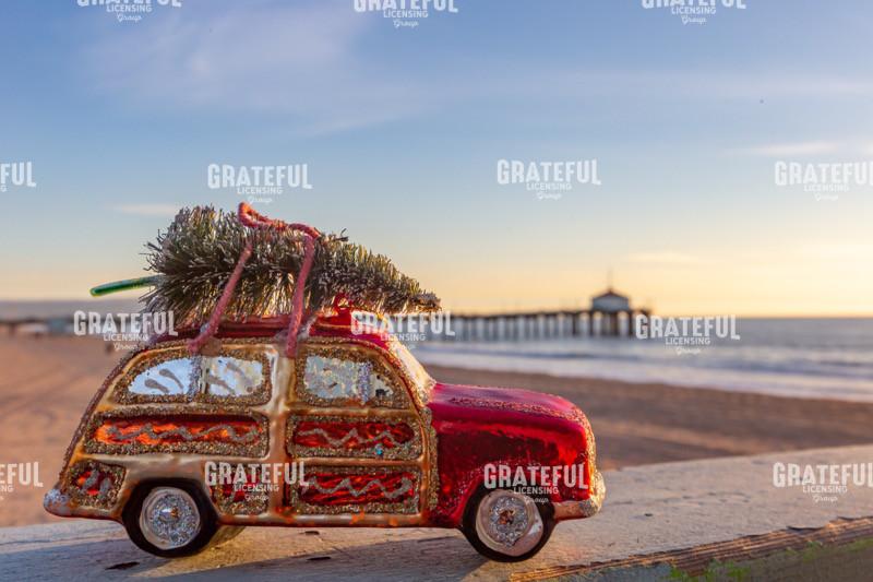 Woody with Christmas Tree