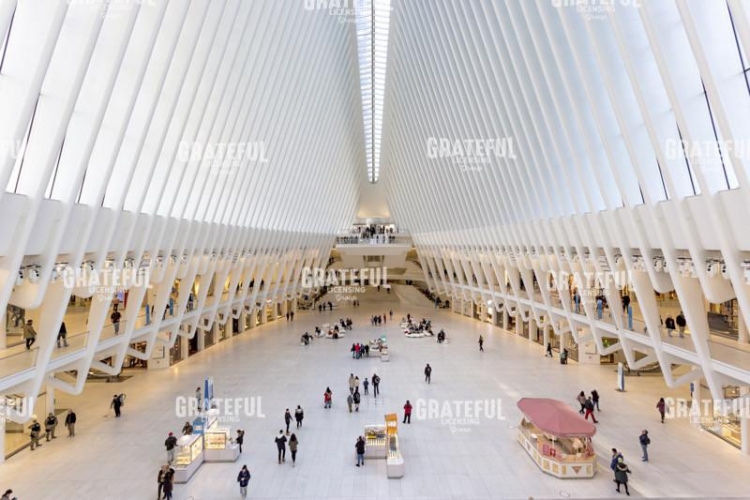 nyc occulus