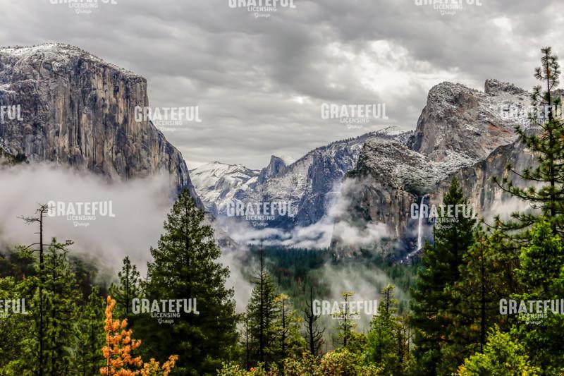 Yosemite and Sequoia