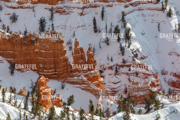 National Park image 3