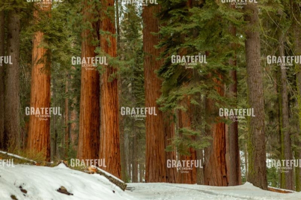 National Park image 7