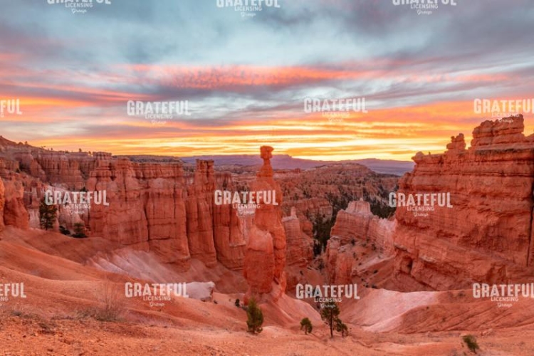 Grand Canyon Nation Park