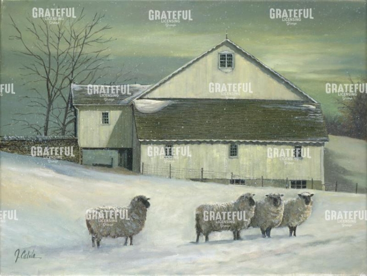 Sheep at Granough