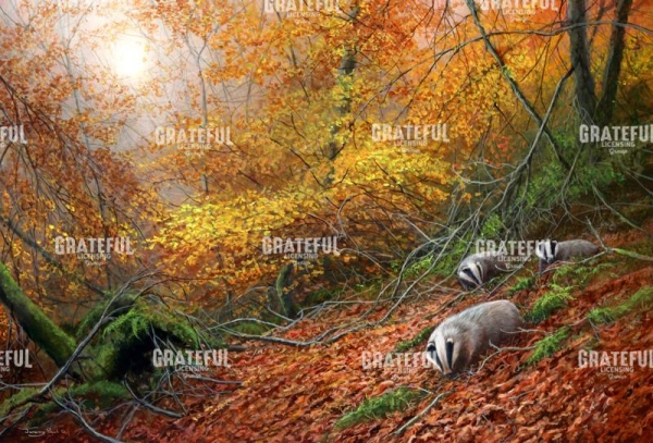 Forest gold - badgers