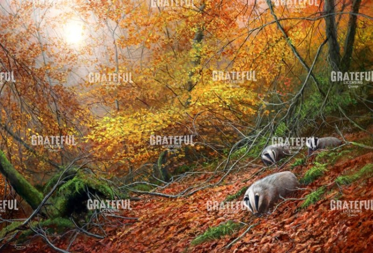 Forest gold - badgers