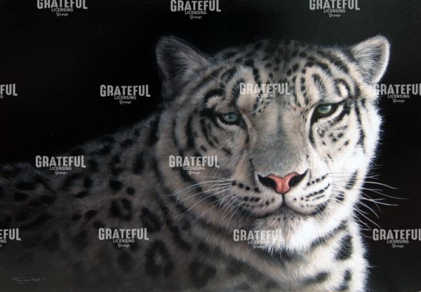Snow leopard
