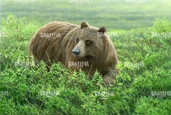 Grizzley