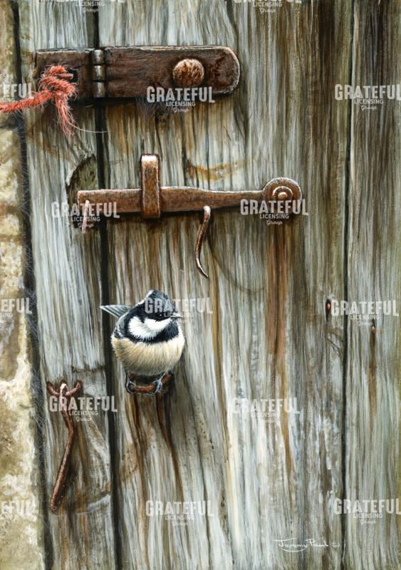 At the door - coal tit