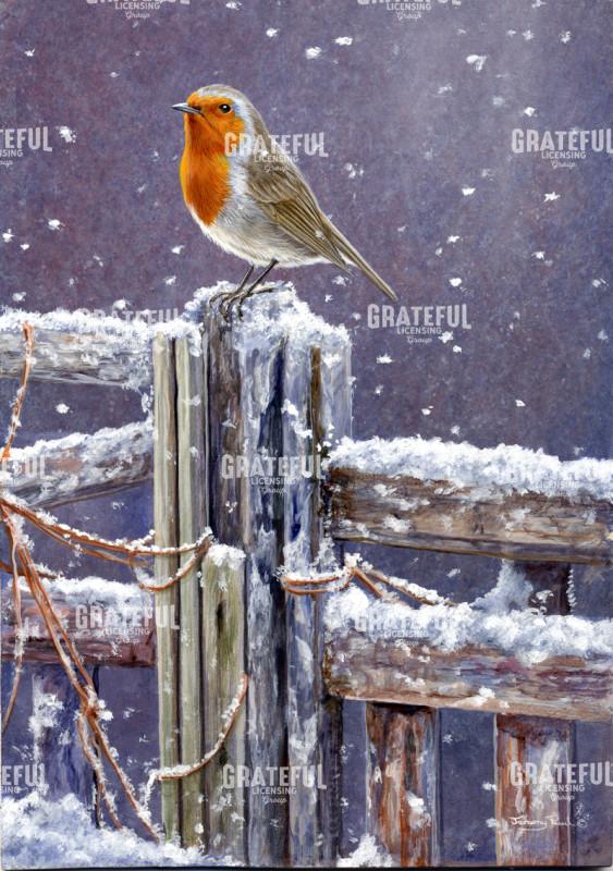 505 Winter Robin
