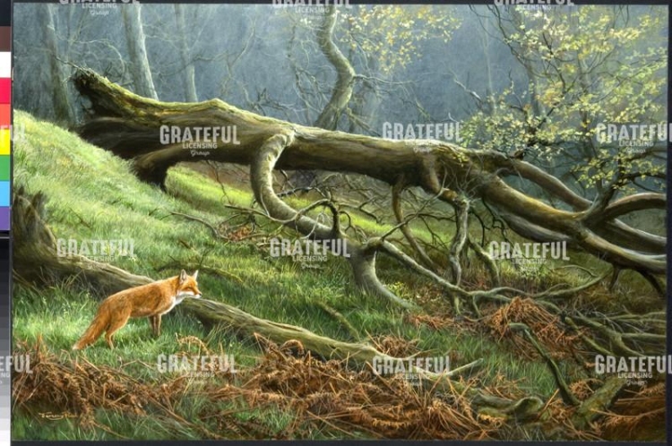 Fallen - fox