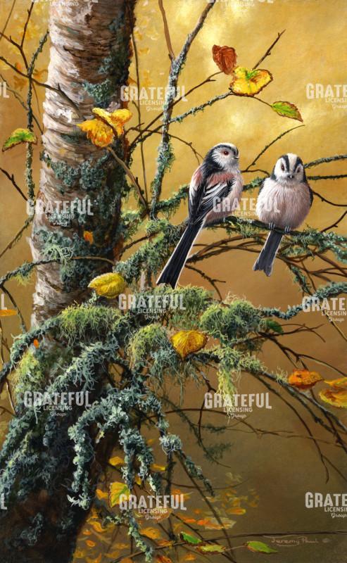 Long-tailed tits