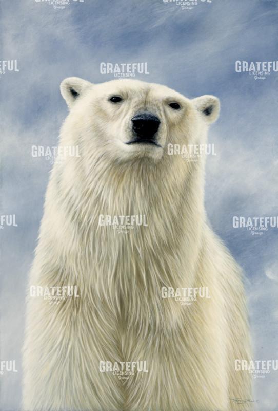 653 Polar Bear