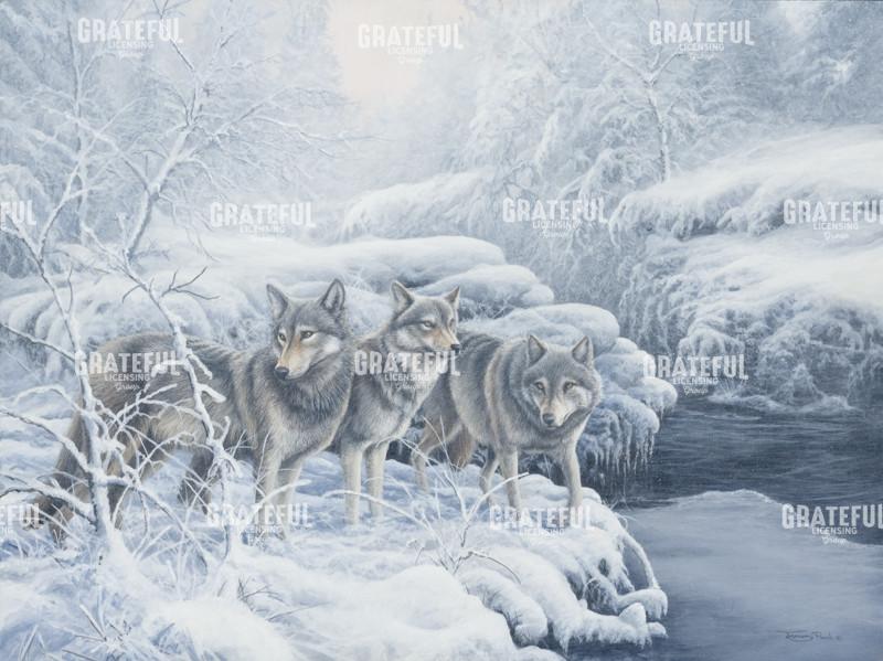 695 At the edge - wolves