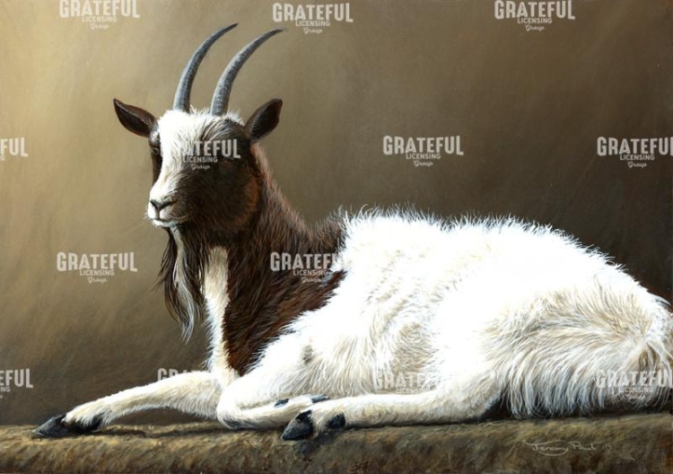 Bagot Goat