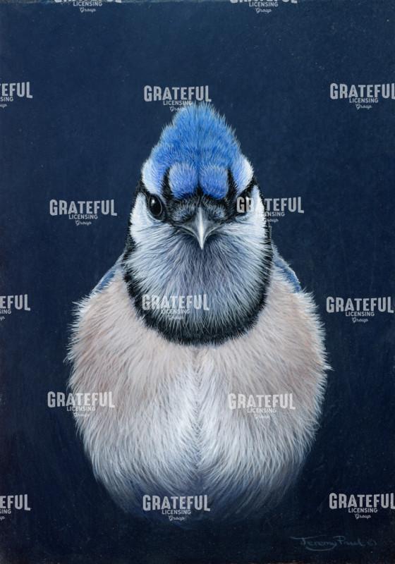 Blue jay