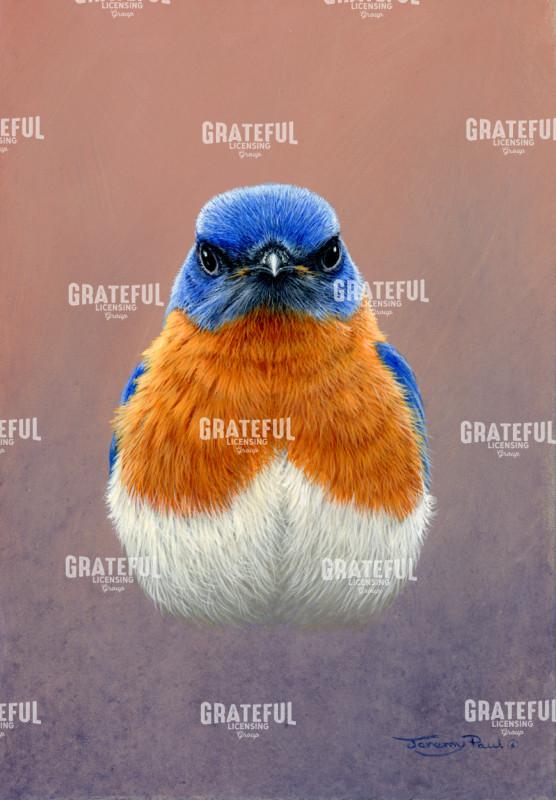 Bluebird