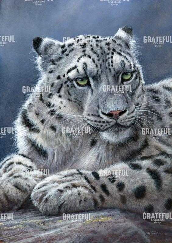 Snow Leopard