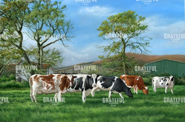 Cooil farm