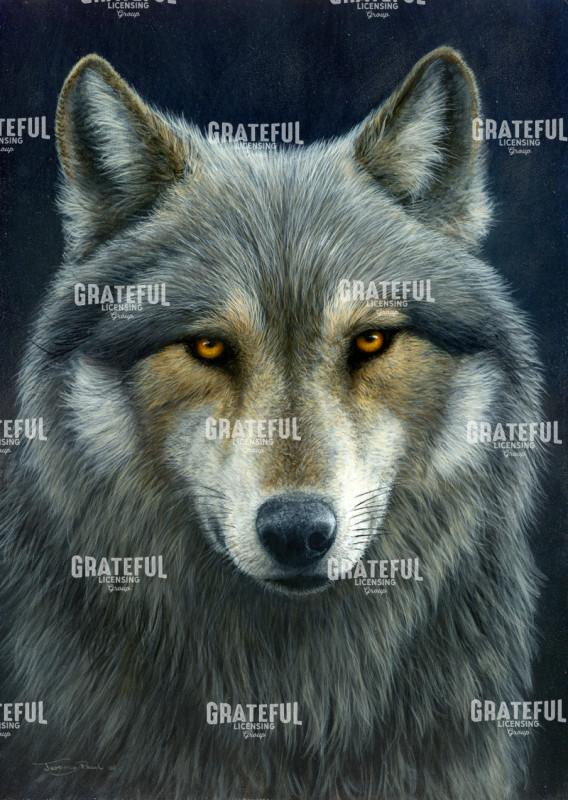 Look into my Eyes