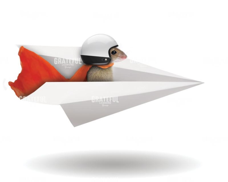Paper Airplane