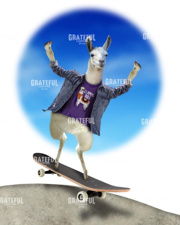 Llama on skateboard
