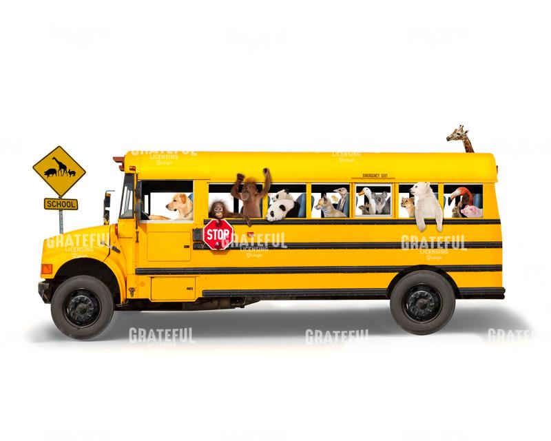 School bus