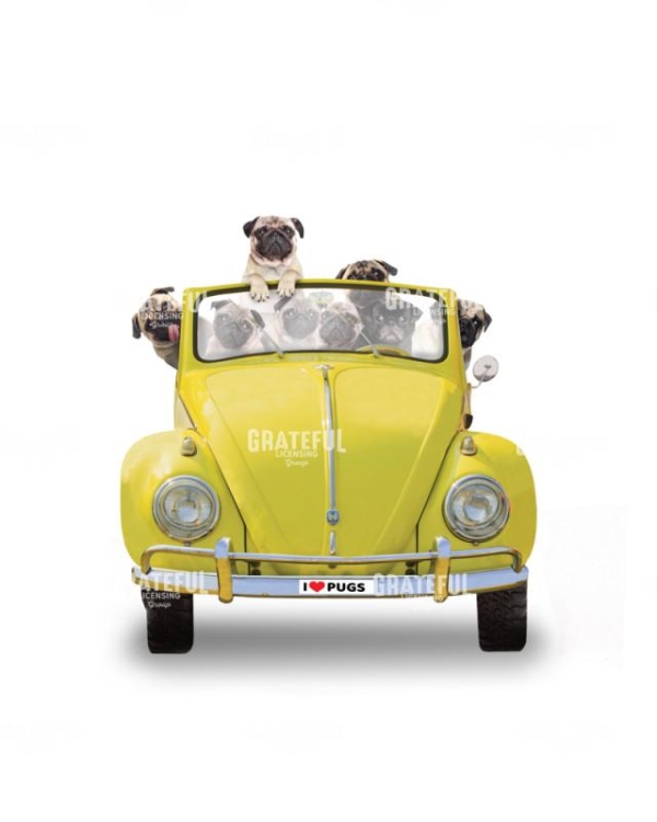Pug Bug