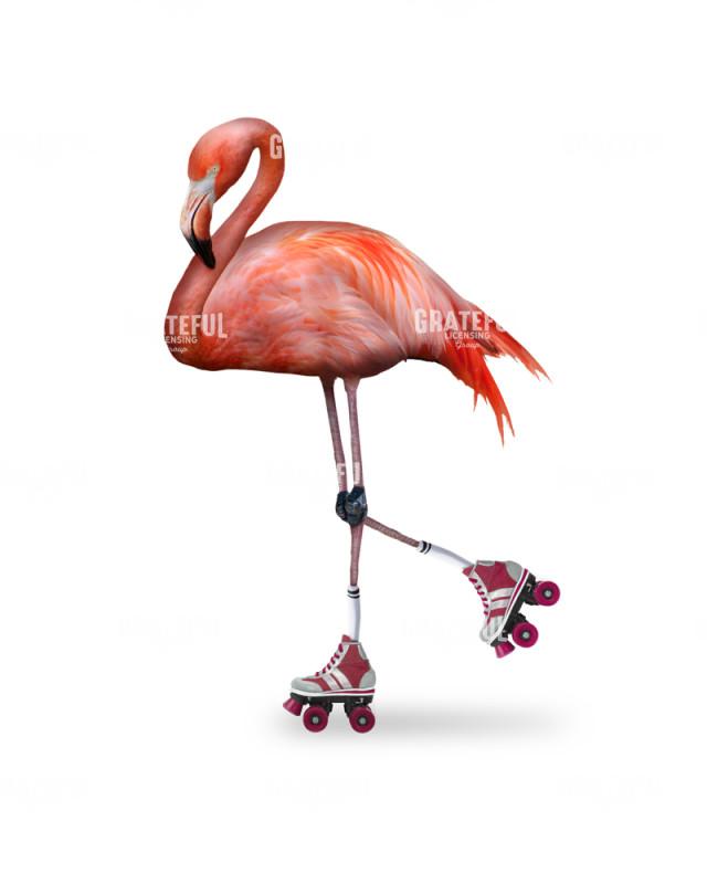 Flamingo roller skating