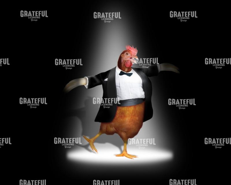 Chicken Dance