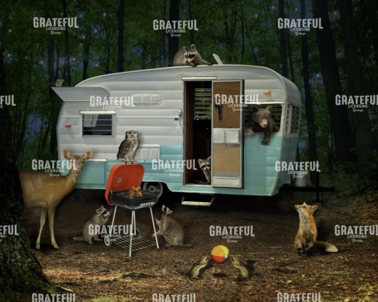 Camping