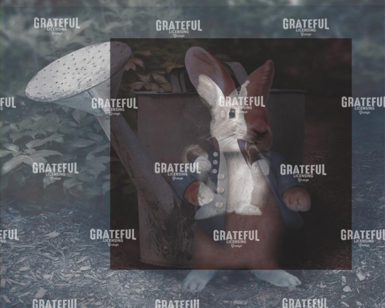 Peter Rabbit 2