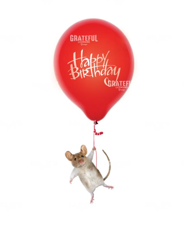 Birthday mouse