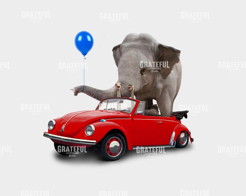 Elelphant VW