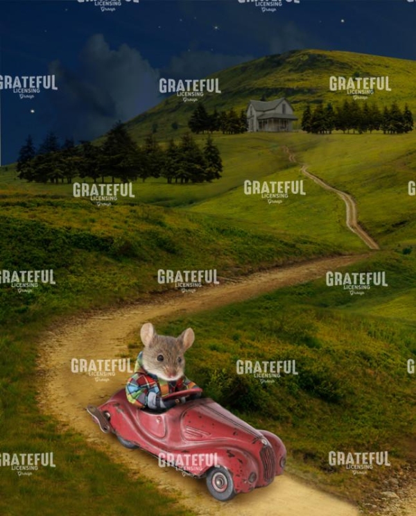 Mouse in toy car