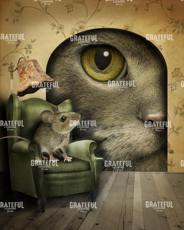 Mouse - home sweet home