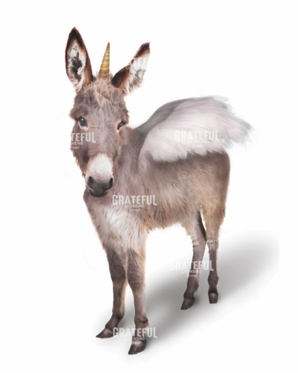 Unicorn