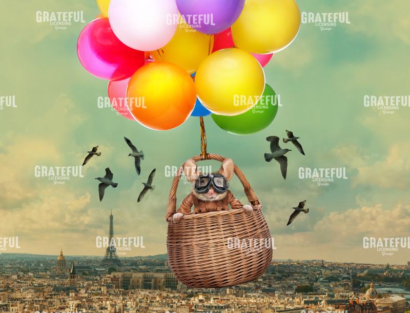 Mouse - I see London