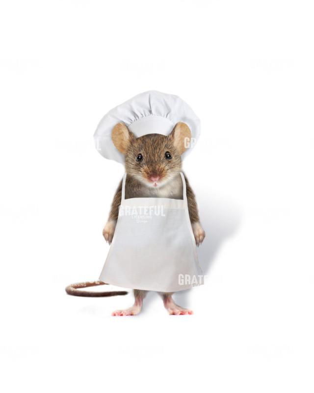 Chef mouse