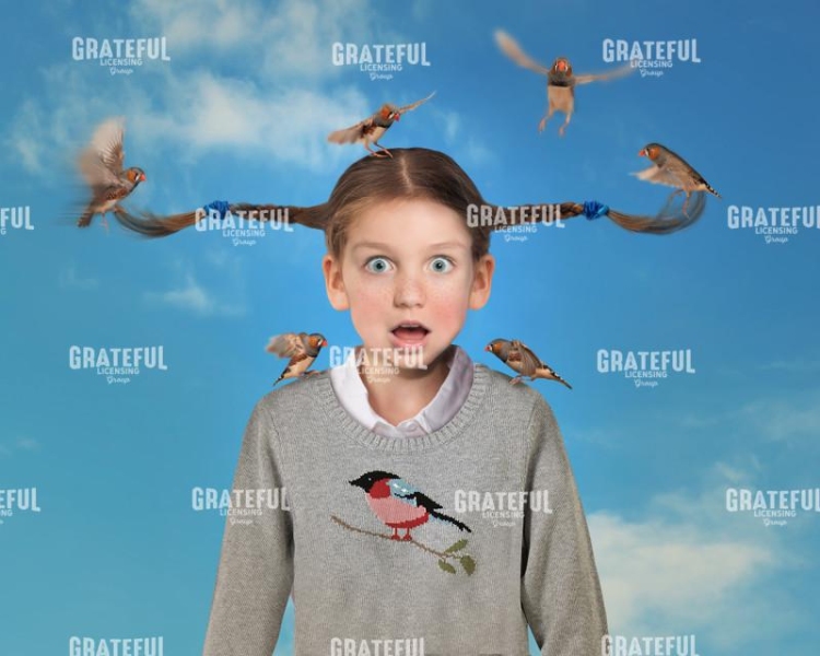 Birds in hair