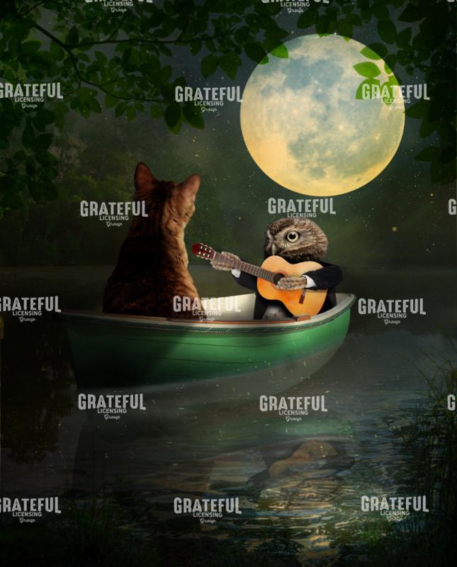 The owl and the pussy cat