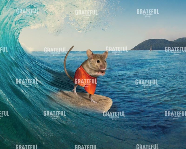 Mouse surfing