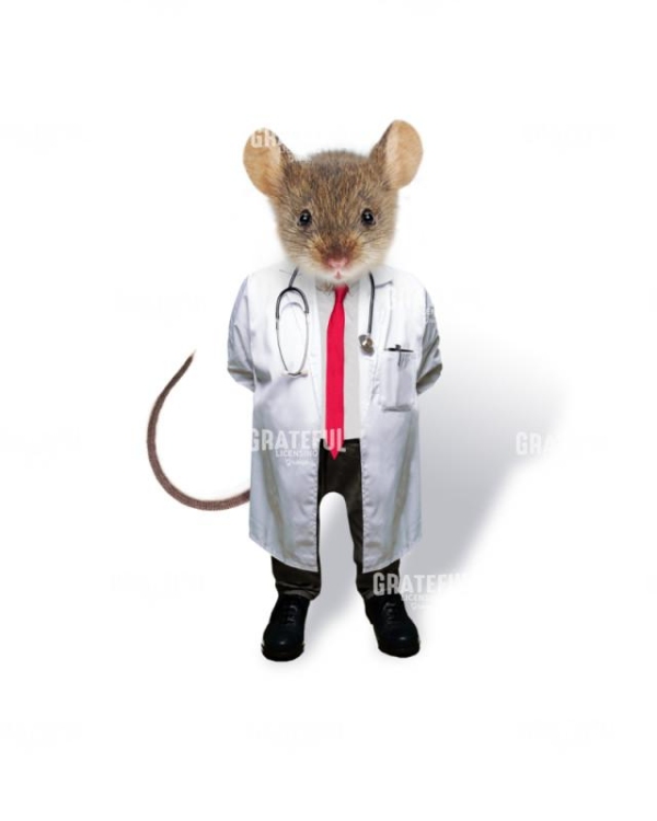 Mouse doctor
