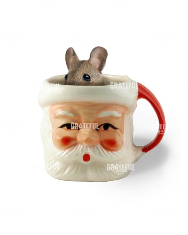 Christmas cup