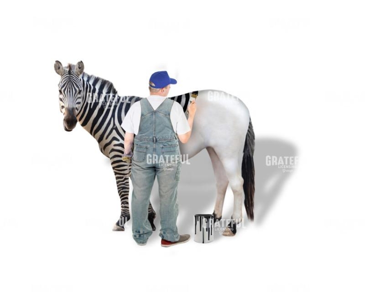 Different stripes